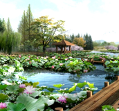 Soạn bài: Nói quá