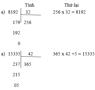 Giải bài : Phép chia - sgk Toán 5 trang 163