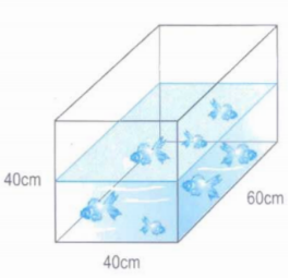 Giải bài : Luyện tập chung - sgk Toán 5 trang 179 (phần 1)
